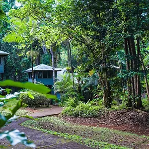 Ferntree Rainforest Lodge
