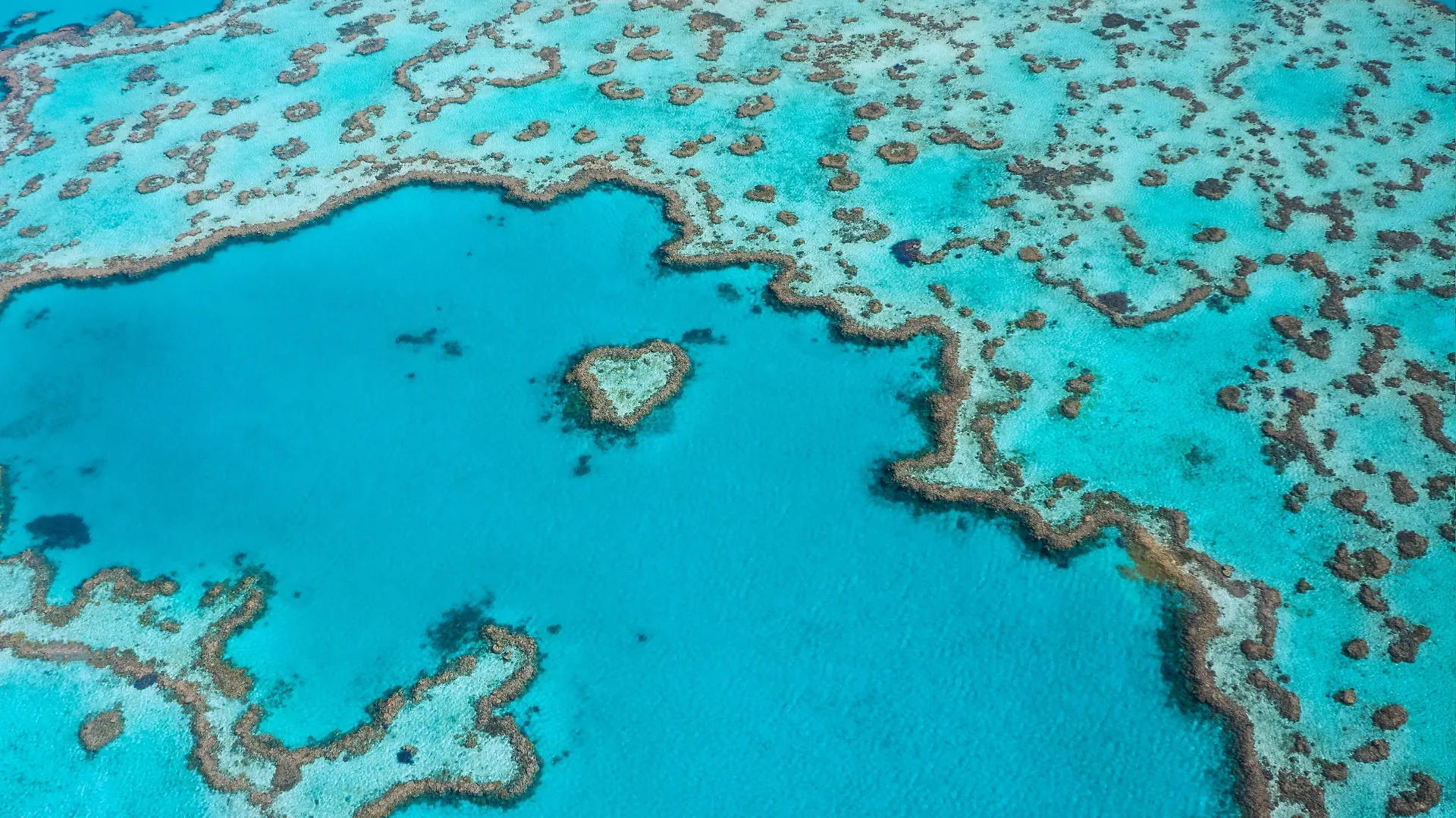 Hotel Intercontinental Hayman Great Barrier Reef Hayman Island Ośrodek wypoczynkowy