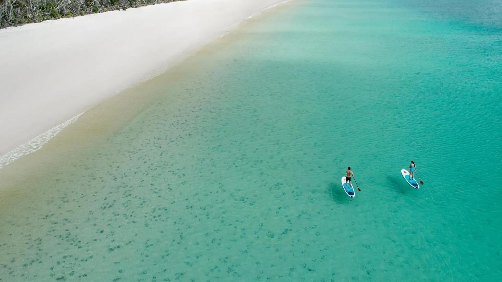 Resort Intercontinental Hayman Great Barrier Reef Hotel Hayman Island
